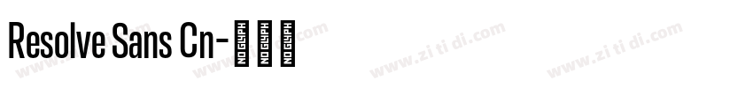 Resolve Sans Cn字体转换 Resolve Sans Cn字体转换